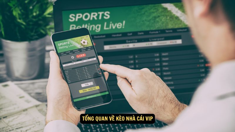 Kèo Nhà Cái VIP: Những Tính Năng Đặc Biệt và Lợi Ích 2 Tổng quan về kèo nhà cái VIP